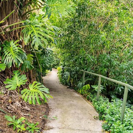 Hatea Treehouse Whangarei Exterior foto