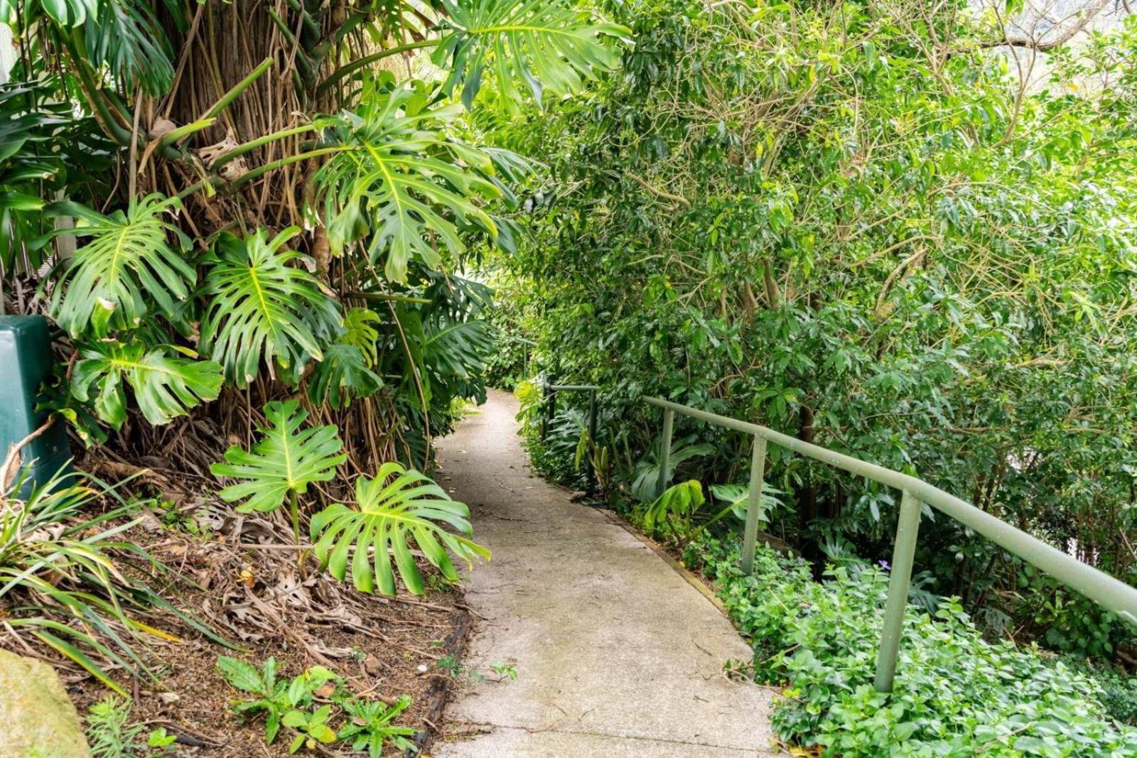 Hatea Treehouse Whangarei Exterior foto